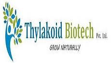 Thylakoid.